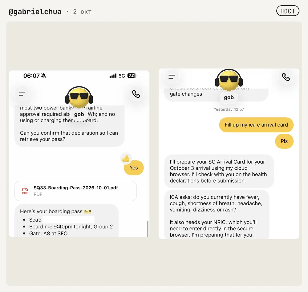 Два экрана переписки с dot по имени gob про регистрацию на рейс и въездную анкету
